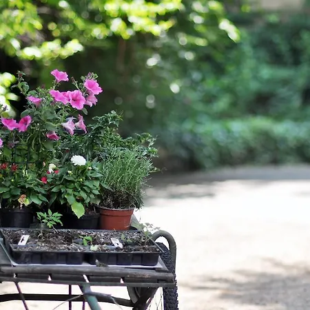 Fausta 4* ترييستي