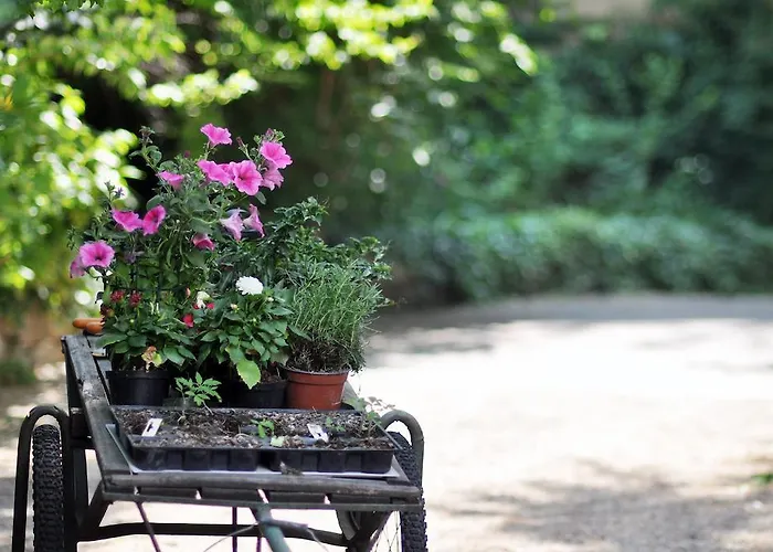 Fausta 4* טריאסטה